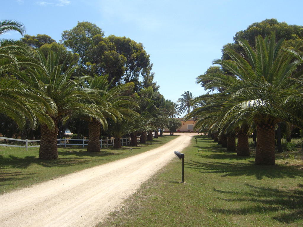 Santa Igia - Country House Acomodação com café da manhã Elmas Exterior foto